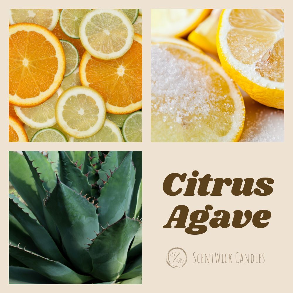 Citrus Agave Soy Wax Minimalist Candle - ScentWick Candles