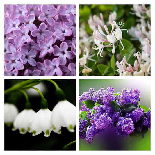 French Lilac Candle | The Farmhouse Collection - ScentWick Candles