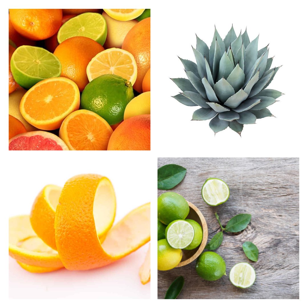 Citrus Agave Wax Melt - ScentWick Candles