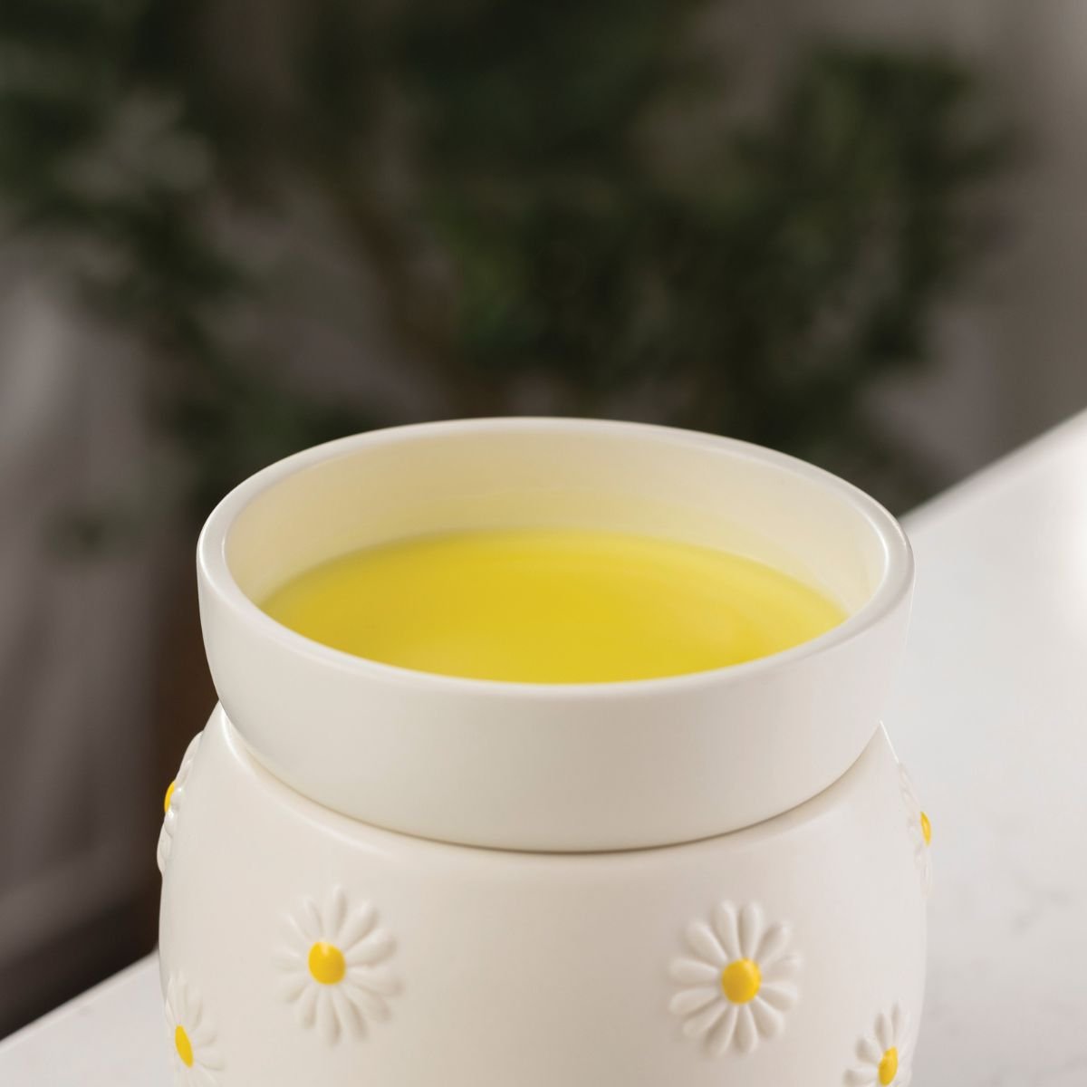 Daisy Wax Warmer - SCENTWICK CANDLES