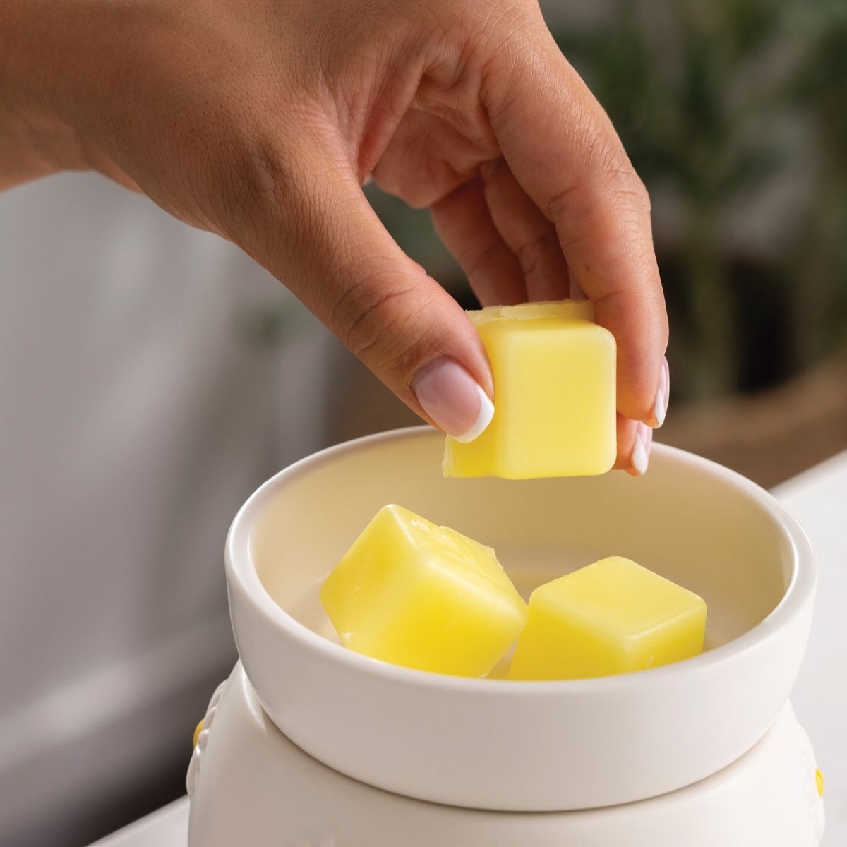 Daisy Wax Warmer - SCENTWICK CANDLES