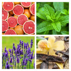 Grapefruit Mint Candle | The Farmhouse Collection - ScentWick Candles