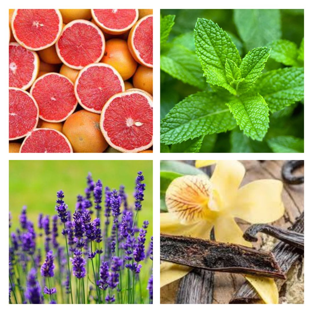 Grapefruit Mint Candle | The Farmhouse Collection - ScentWick Candles