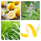 Lemon Verbena Wax Melt Scoopies pack - ScentWick Candles
