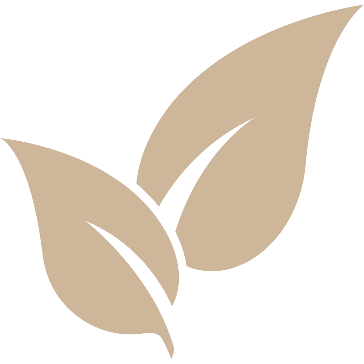 beige illustration of a leaf