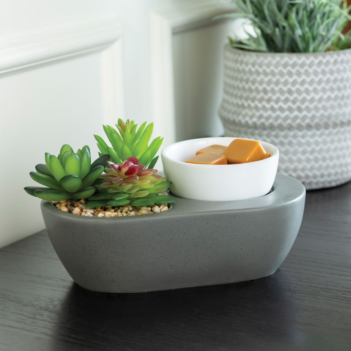 Succulent Garden Wax Warmer - SCENTWICK CANDLES