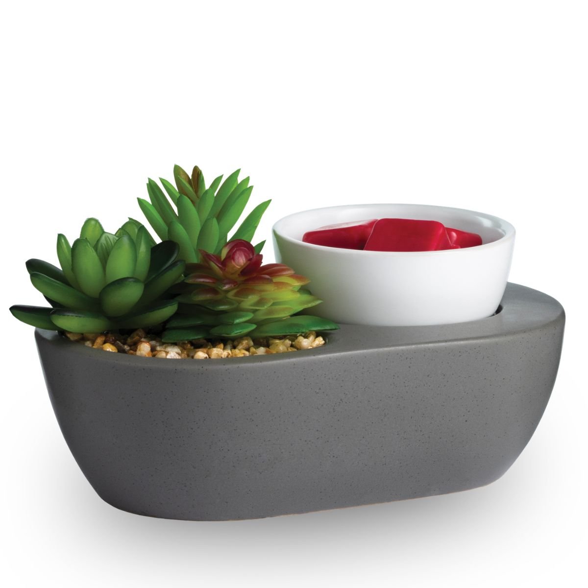Gray wax warmer with succulents and a white bowl with red wax melt on a white background