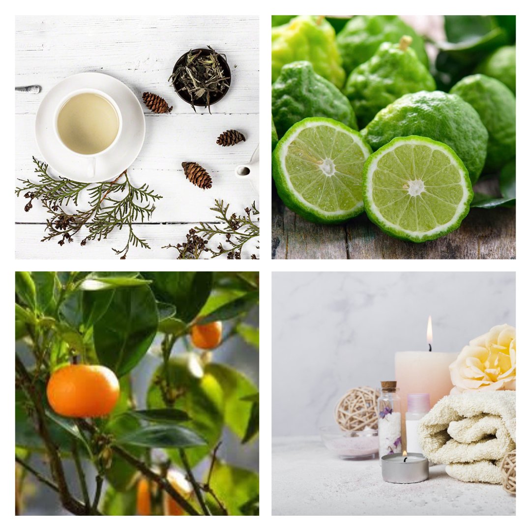 White Tea Candle | The Copper & Gold Collection - ScentWick Candles