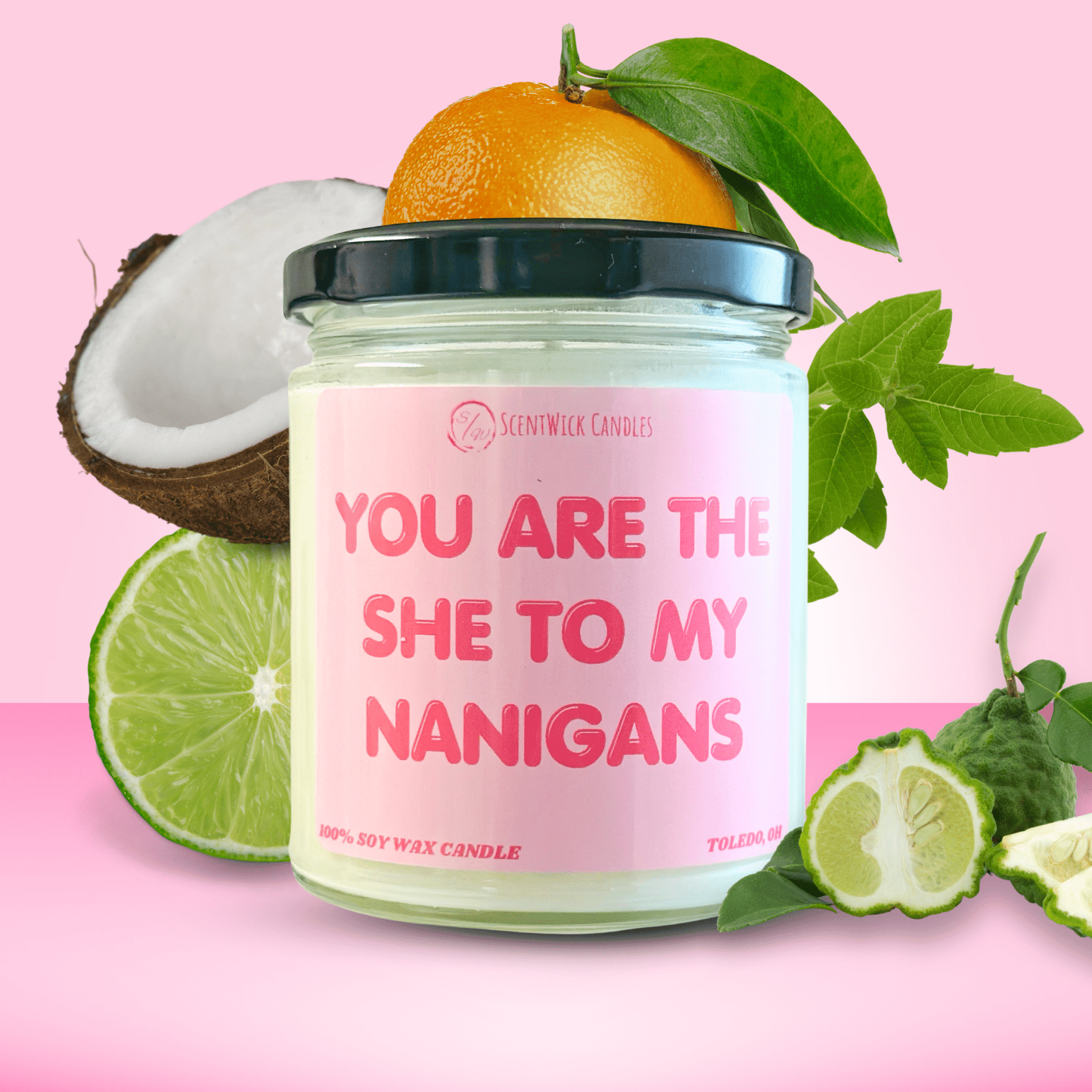 "You are the she to my nanigans" Candle - ScentWick Candles